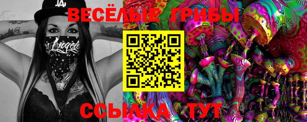Псилоцибиновые грибы ЛСД  Вход с VPN  Железногорск 