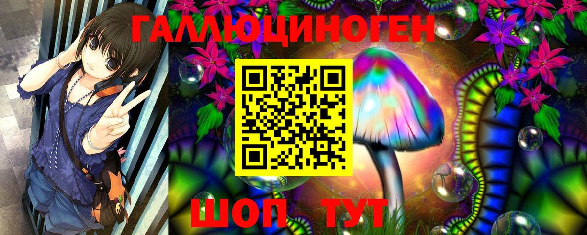 Псилоцибиновые грибы Psilocybe Железногорск